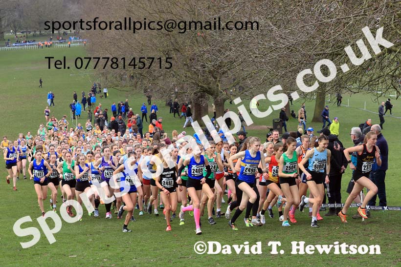 Womens Under-20s, 2024 CAU Inter Counties Cross Country Champs., Wollaton Park, Nottingham. Photo: David T. Hewitson/Sports for All Pics